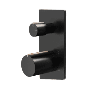 Wanaka Shower Mixer with Diverter