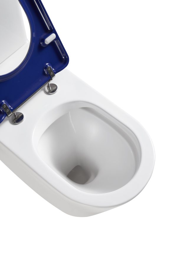NOVA II Overheight 800mm Rimless BTW（Disabled Toilet）Suites - Image 2